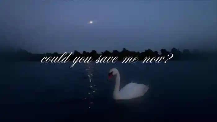 Save me now (Lyric Video)