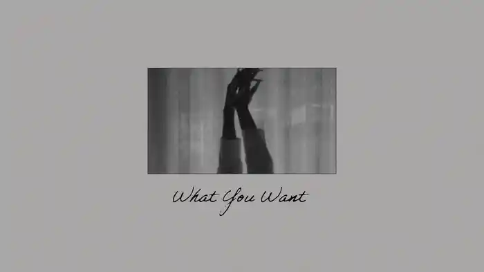 What You Want (Lyric Video)