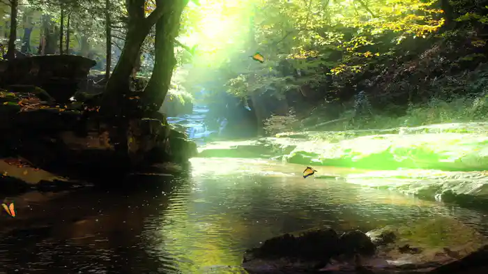 Papillon (Visualizer)