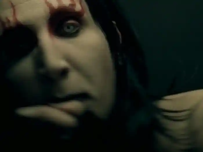 ディスポーザブル・ティーンズ（MTV Version）