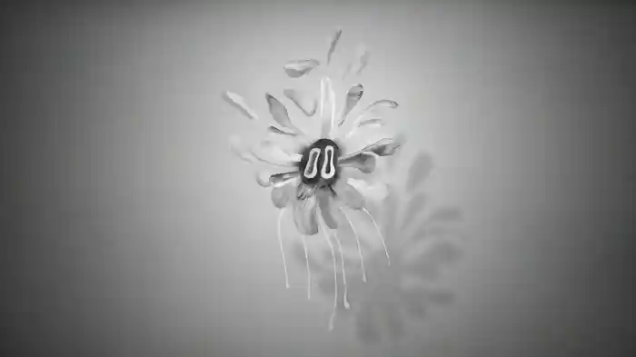 Switches (Visualiser)