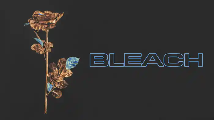 Bleach (Visualiser)