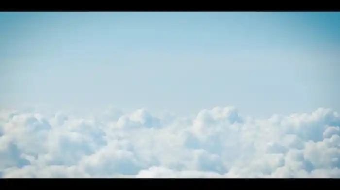 Under The Same Sky