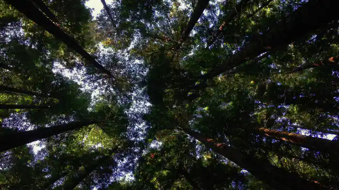 Instrumental Songs Of Worship (Audio)