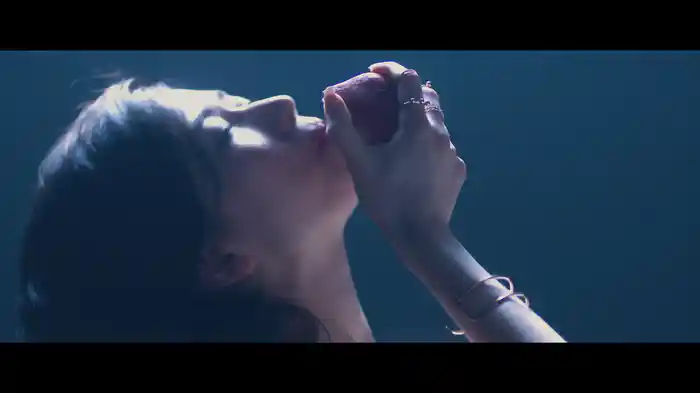 ワインレッドのラビリンス