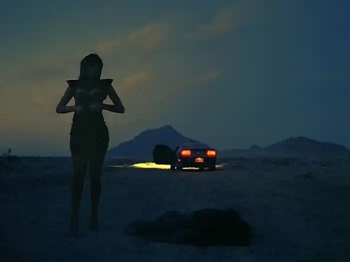 Flashing Lights (Director's Cut (Explicit))