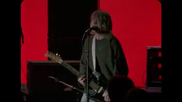 Territorial Pissings (Live At The Paramount, Seattle / 1991)