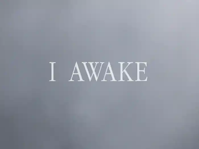 I Awake