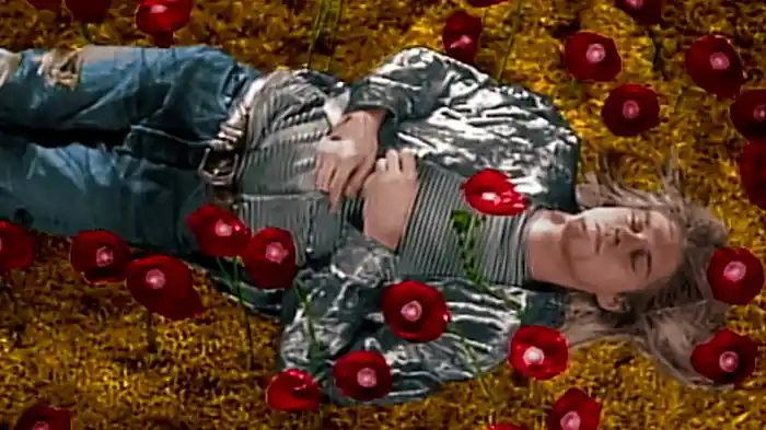 Heart-Shaped Box (Director's Cut)