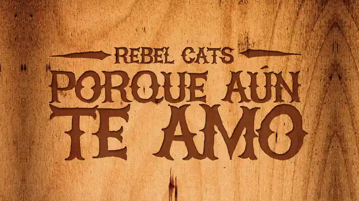 Porque Aún Te Amo (Audio)