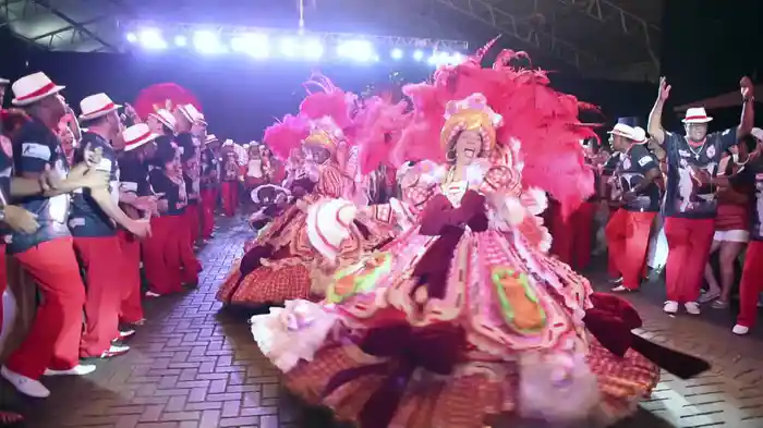 A Ópera Dos Malandros (G.R.E.S. Acadêmicos Do Salgueiro)