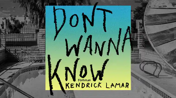 Don't Wanna Know (Audio)