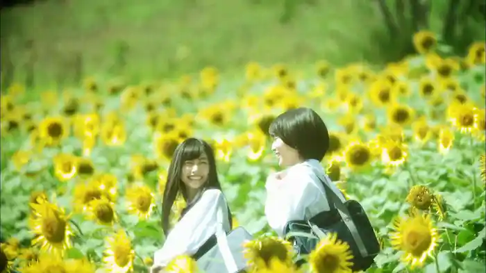 ひまわりの約束 (弾き語りバージョン)