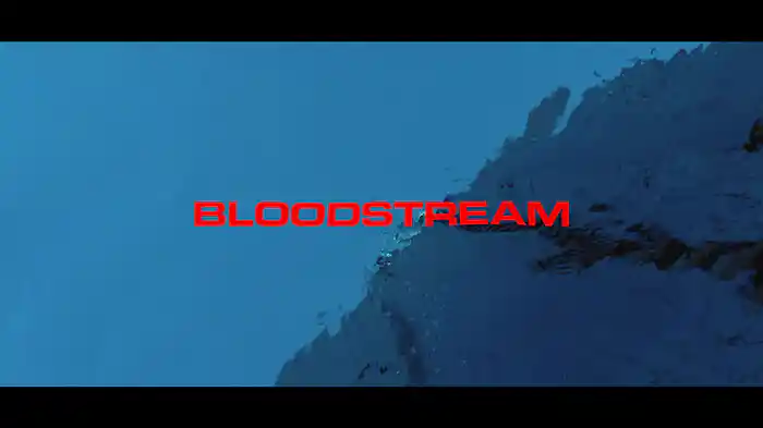 Bloodstream