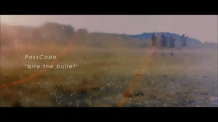 bite the bullet