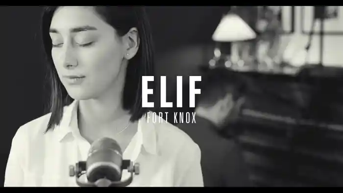 Fort Knox (Akustik Session)