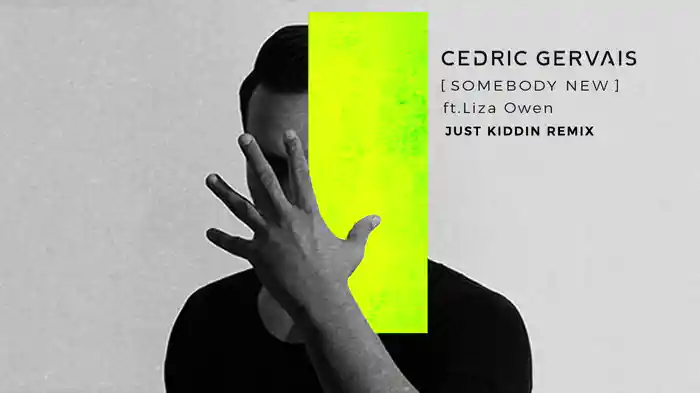 Somebody New (Just Kiddin Remix / Audio)