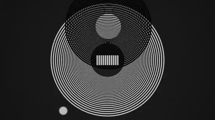 Grooves On The Vinyl