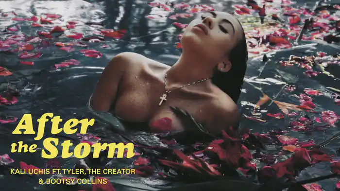 After The Storm (Audio)