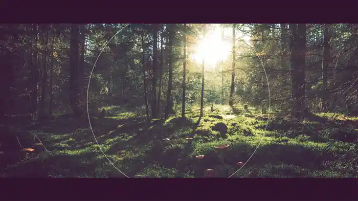 You Raise Me Up (Lyric Video)