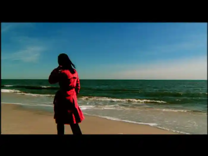 See You In My Dreams