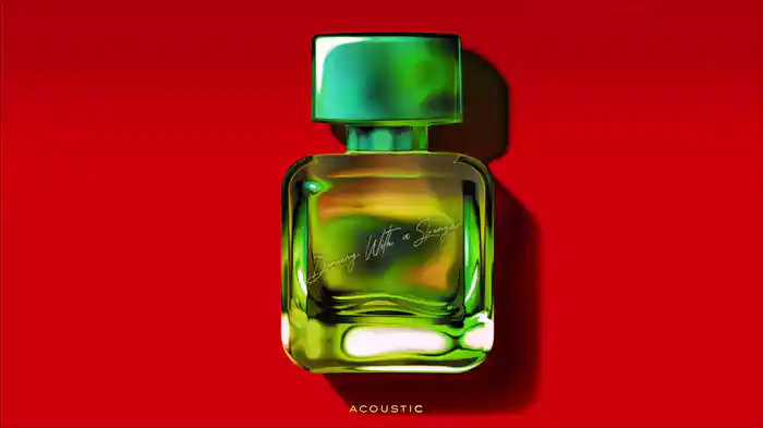 Dancing With A Stranger (Acoustic / Visualiser)