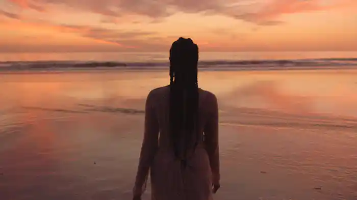 The Jungle Is The Only Way Out (Visual EP)