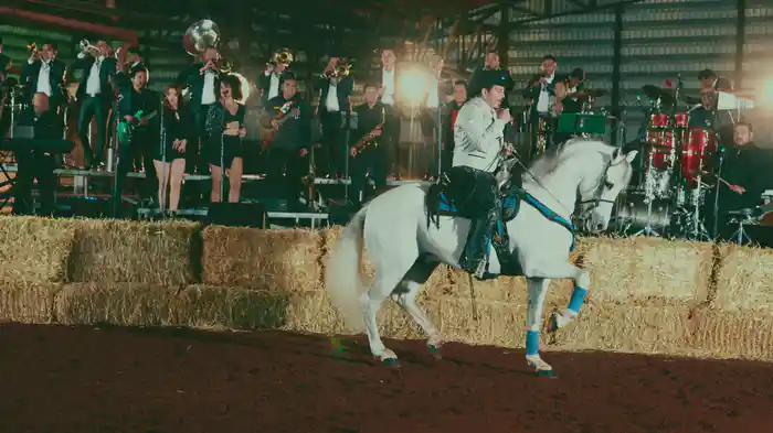 Sangoloteadito (En Vivo)