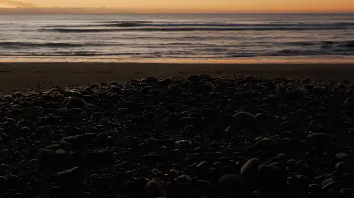 Antidote (Visualizer)