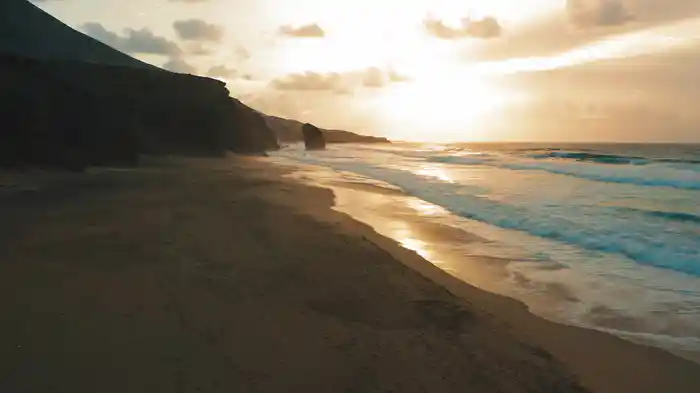 Cheap Wine (And Expensive Conversation) (Visualizer)