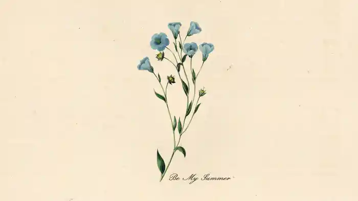 Be My Summer (Visualiser)