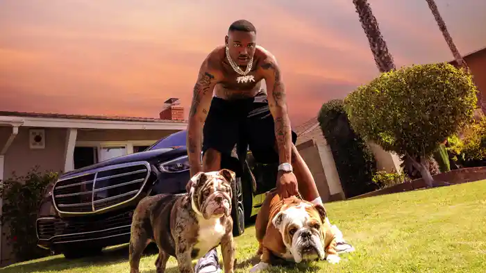 BAD BITCH ON SEEN (Visualizer)