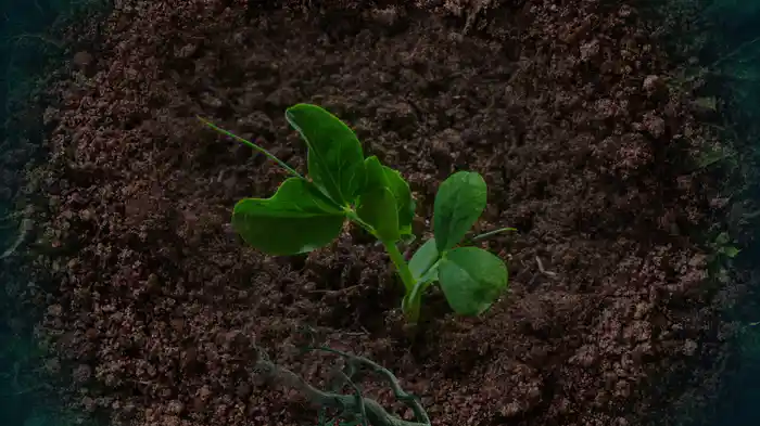 Digging In The Dirt (Visualizer)