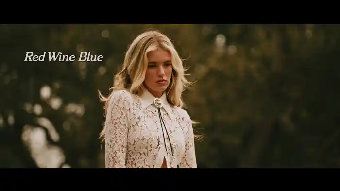 Red Wine Blue (Lyric Video)