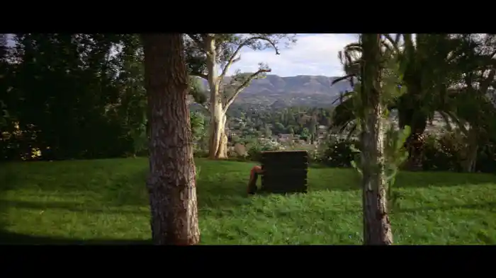 Bitch Better Have My Money