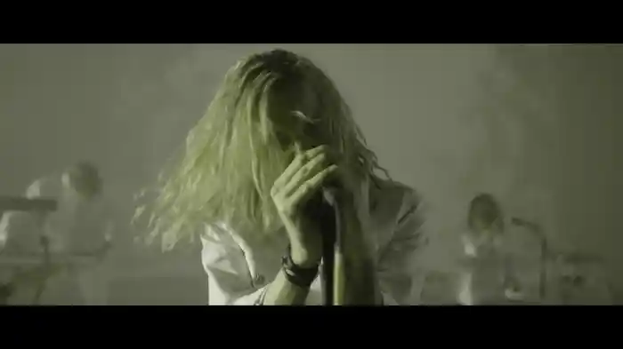 Rapture (Music Video)