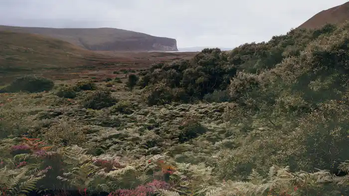 Berriedale on Hoy (Visualiser)