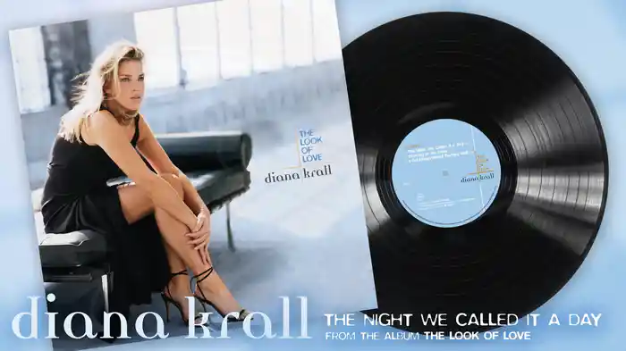 The Night We Called It A Day (Visualizer)