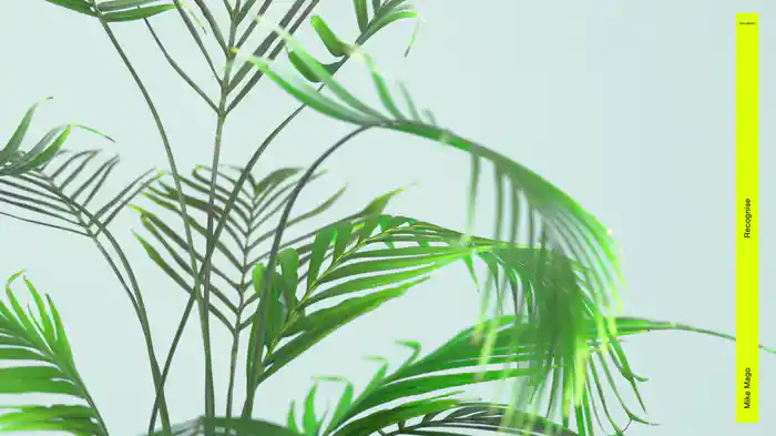 Recognise (Visualizer)