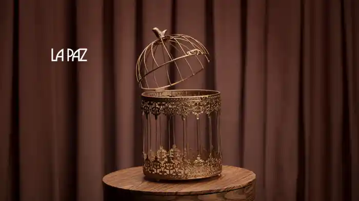 La Paz (Lyric Video)