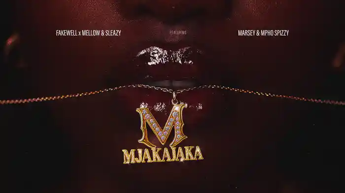 Mjakajaka (Visualizer)