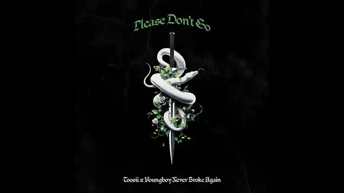 Please Don't Go (Audio)