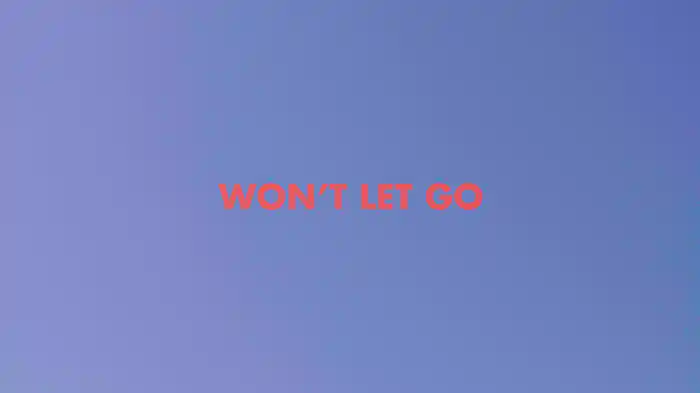 Won't Let Go (Lyric Video)