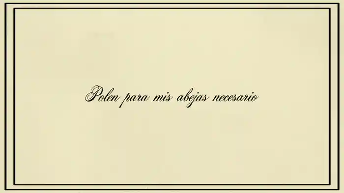 Tú, mi bb (Lyric Video)