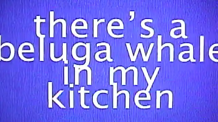 Beluga Whale (Call Again) (Lyric Video)
