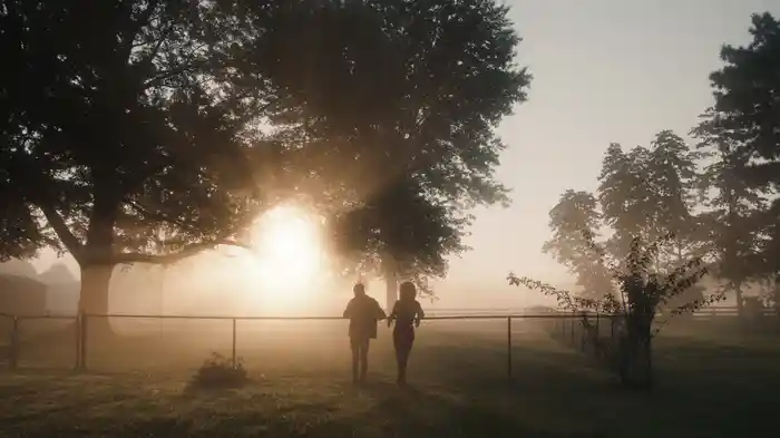 In The Morning Light