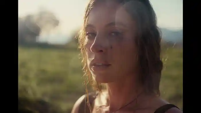 Congratulations! (Visualizer)