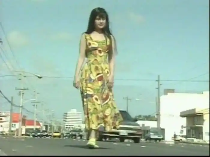 Fan Ren Ge (Karaoke)