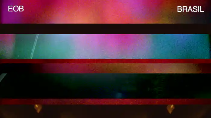 Brasil (Visualizer)