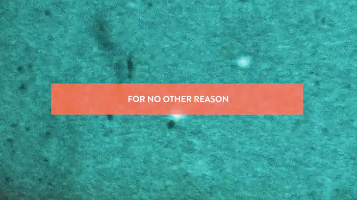 For No Other Reason (Live/Lyric Video)